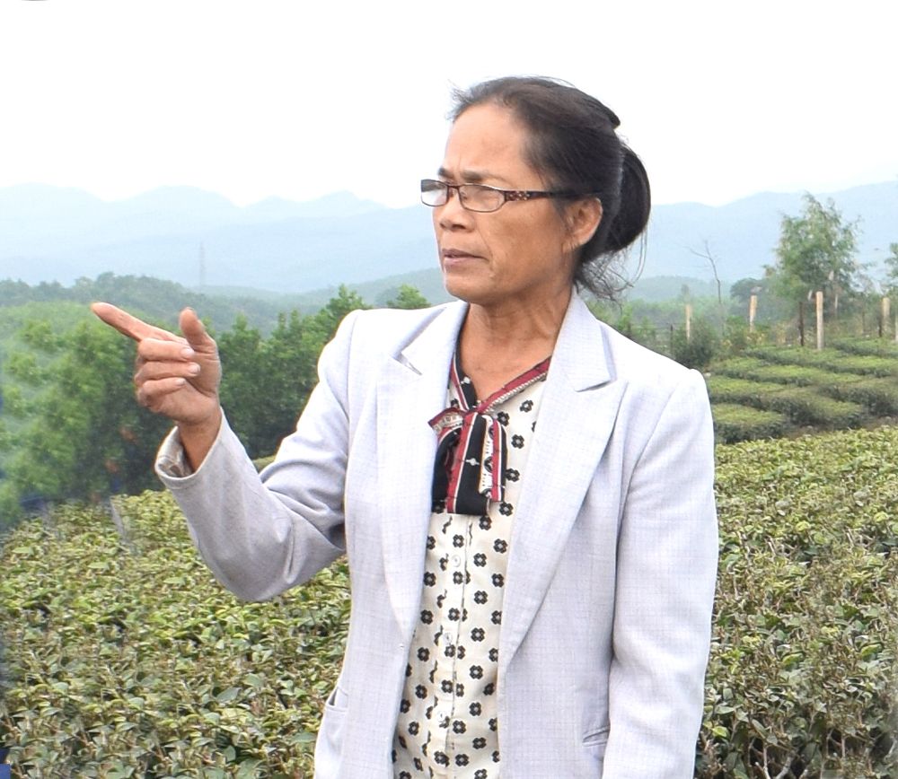 Bùi Thị Hải Hà