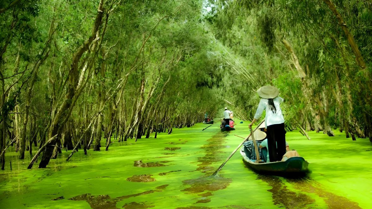An Giang