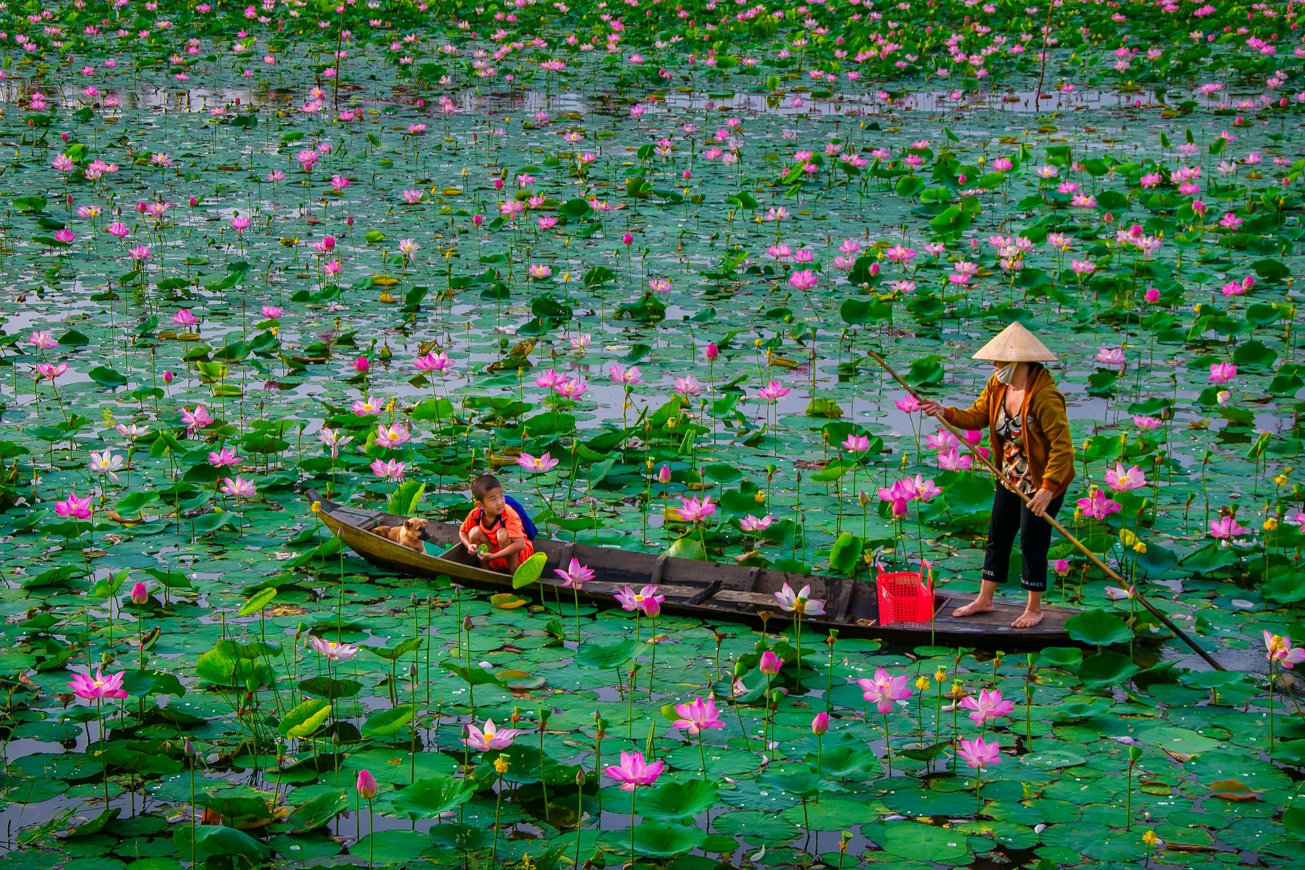 Đồng Tháp