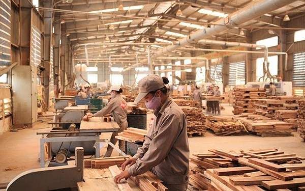 May mặc & Thú nhồi bông